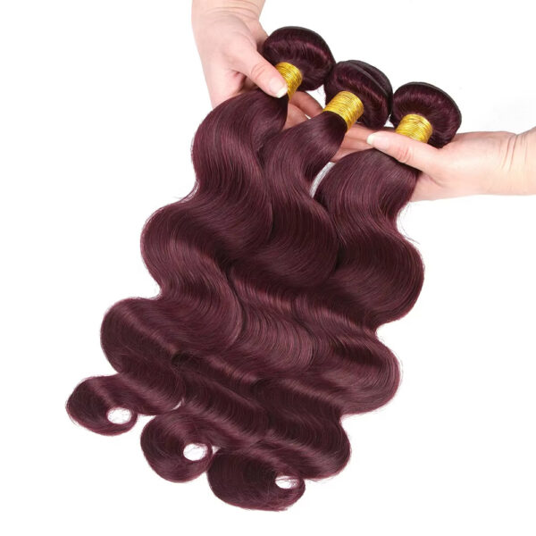 Body Wave HD Lace Closure 4x4 3 Bundles 99J Burgundy Dark Red Human Hair 4