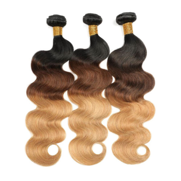 Body Wave HD Lace Closure 4x4 3 Bundles Mix Color 1B427 3