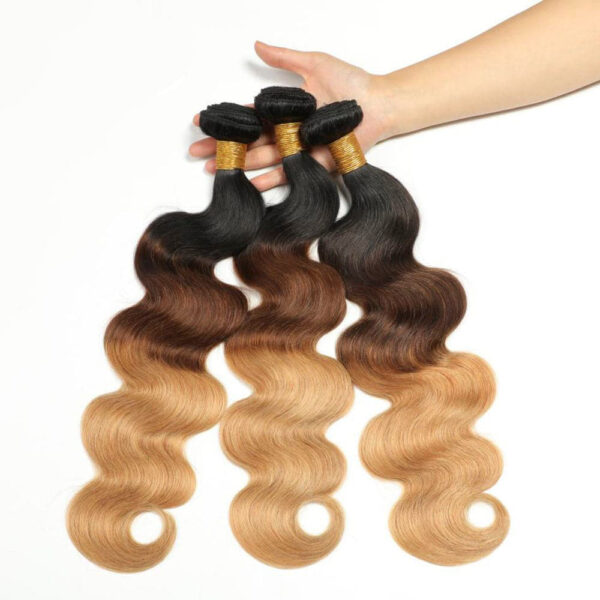 Body Wave HD Lace Closure 4x4 3 Bundles Mix Color 1B427 4