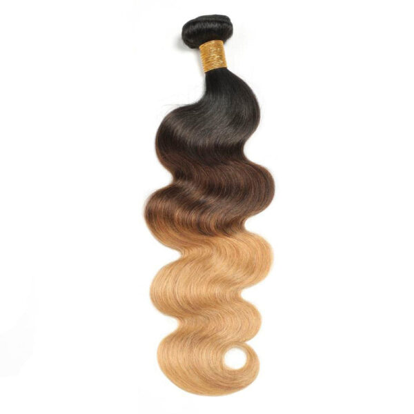 Body Wave HD Lace Closure 4x4 3 Bundles Mix Color 1B427 5