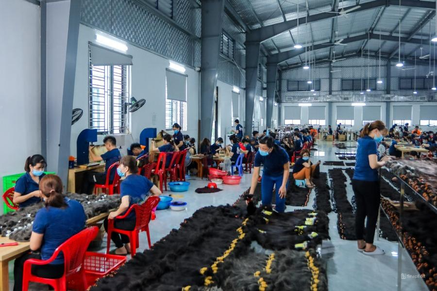 HazuHair Vietnam Human Hair Factory 2