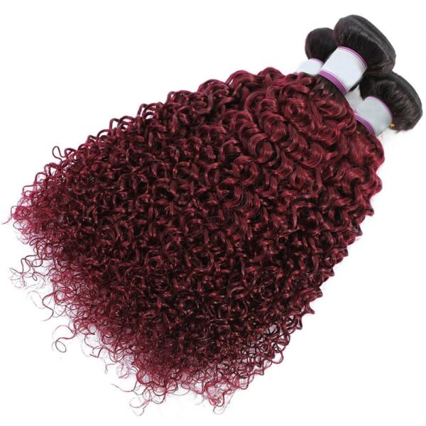 Kinky Curly Hair Bundles 1B 99J Burgundy With Dark Roots Weave Hair Extensions 1