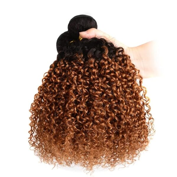 Kinky Curly Hair Bundles 1B30 Auburn Brown With Dark Roots Weave Hair Extensions 4