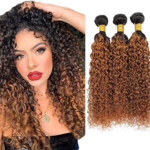 Kinky Curly Hair Bundles 1B30 Auburn Brown With Dark Roots Weave Hair Extensions 7