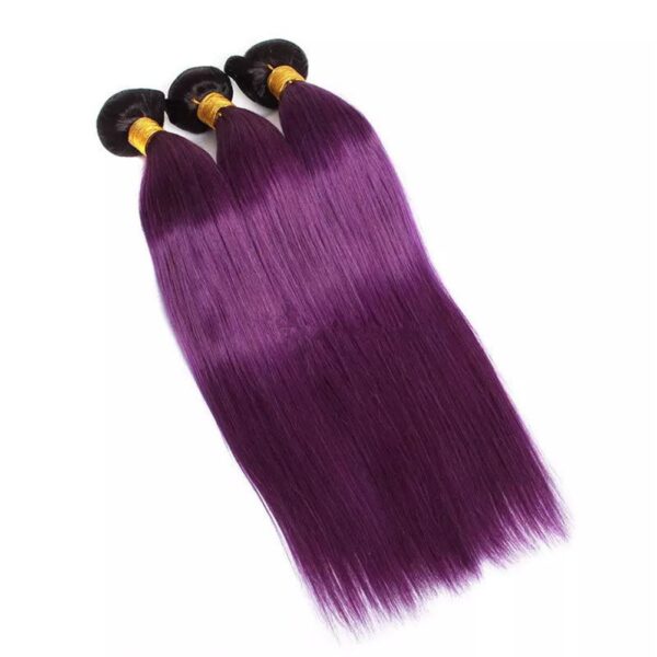 Straight HD Lace Closure 4x4 3 Bundles 1BPurple Ombre With Black Roots Human Hair 4