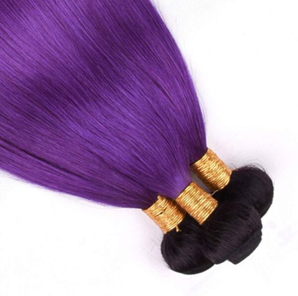 Straight HD Lace Closure 4x4 3 Bundles 1BPurple Ombre With Black Roots Human Hair 5