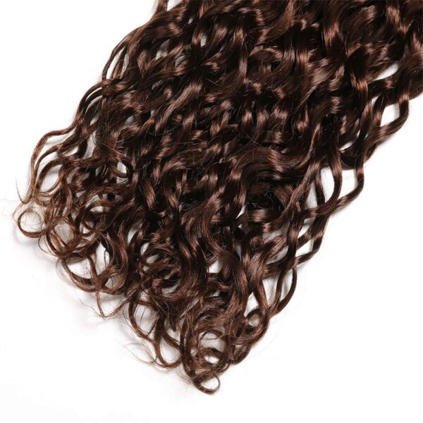 Water Wave HD Lace Closure 4x4 3 Bundles 4 Chocolate Brown Human Hair 5