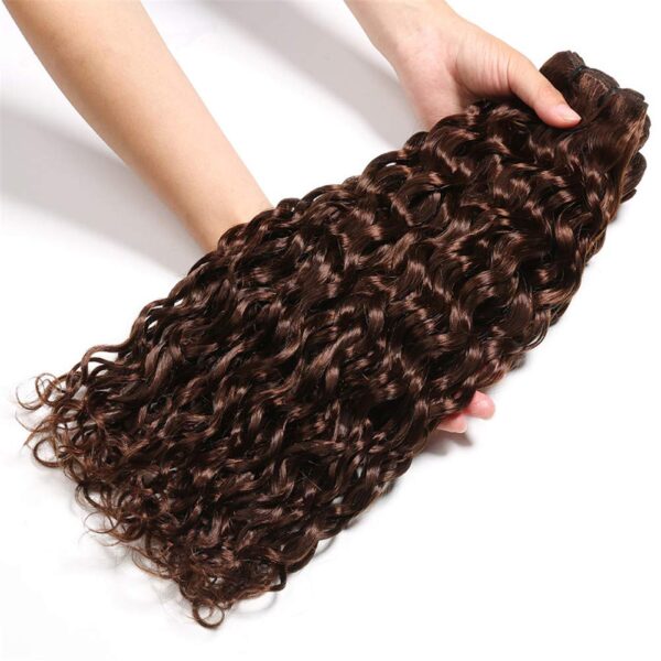 Water Wave HD Lace Closure 4x4 3 Bundles 4 Chocolate Brown Human Hair 6