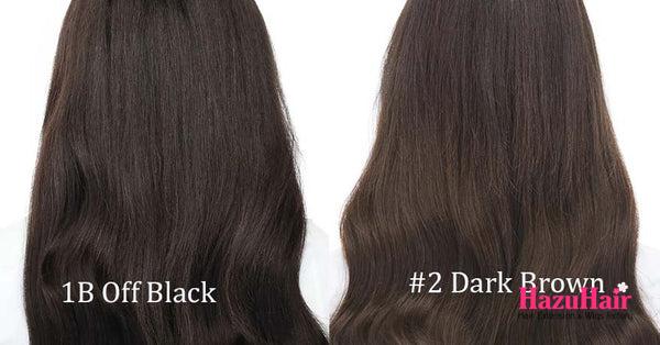 1B Hair Color vs. 2 Hair Color What is the Difference