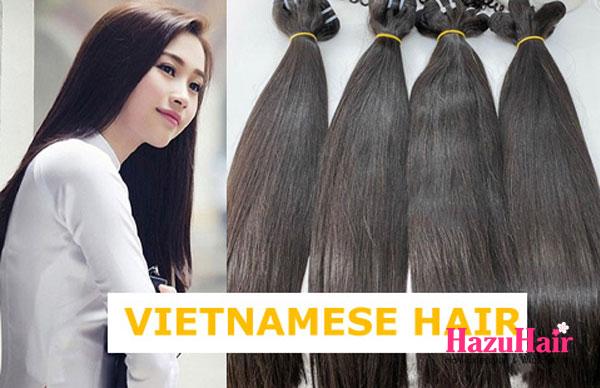 The Dissimilarities Between Vietnamese Single Donor Hair and Bulk Straight Hair 1