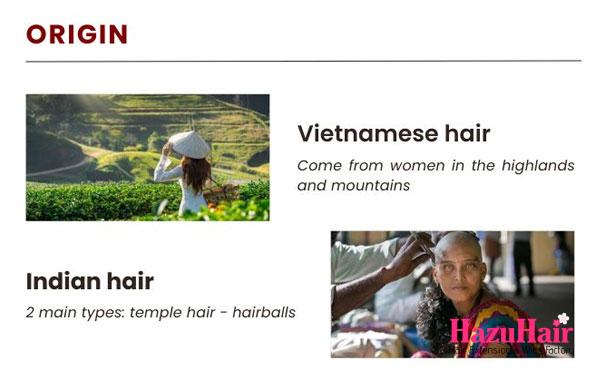 Vietnamese Hair vs indian Hair Which one to choose 3