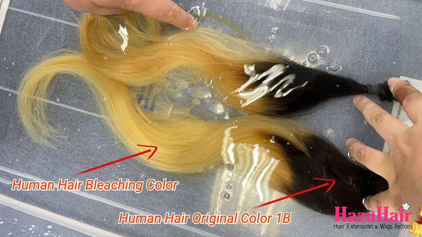 Why Raw Hair Can Be Bleached to 613