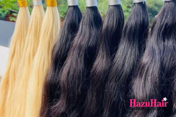 Raw Indian Hair vs. Other Hair Types